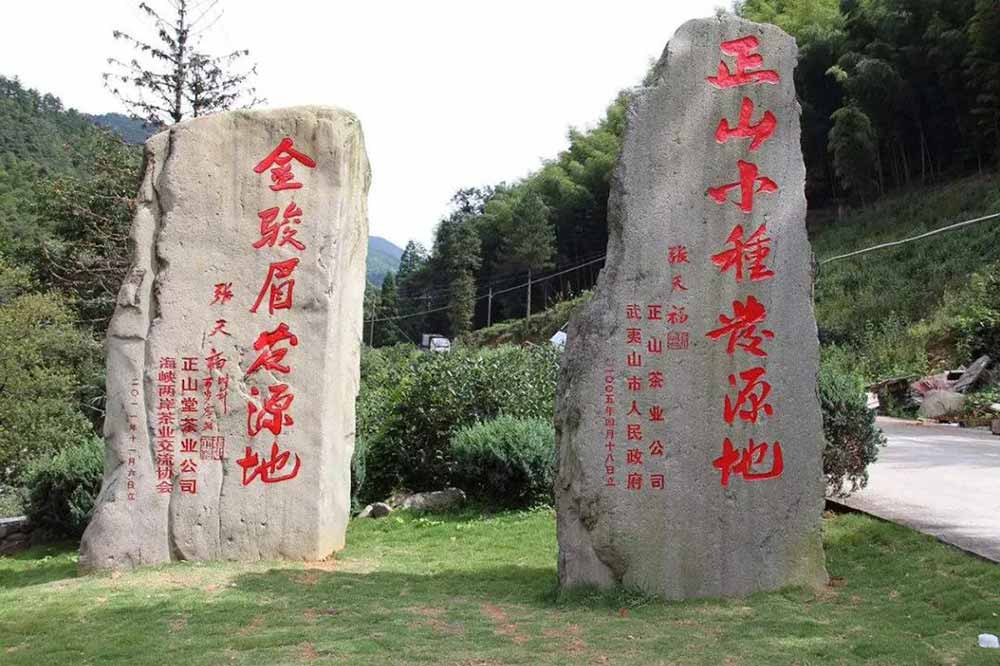 元正紅茶|益生菌紅茶 紅動(dòng)中國(guó)
